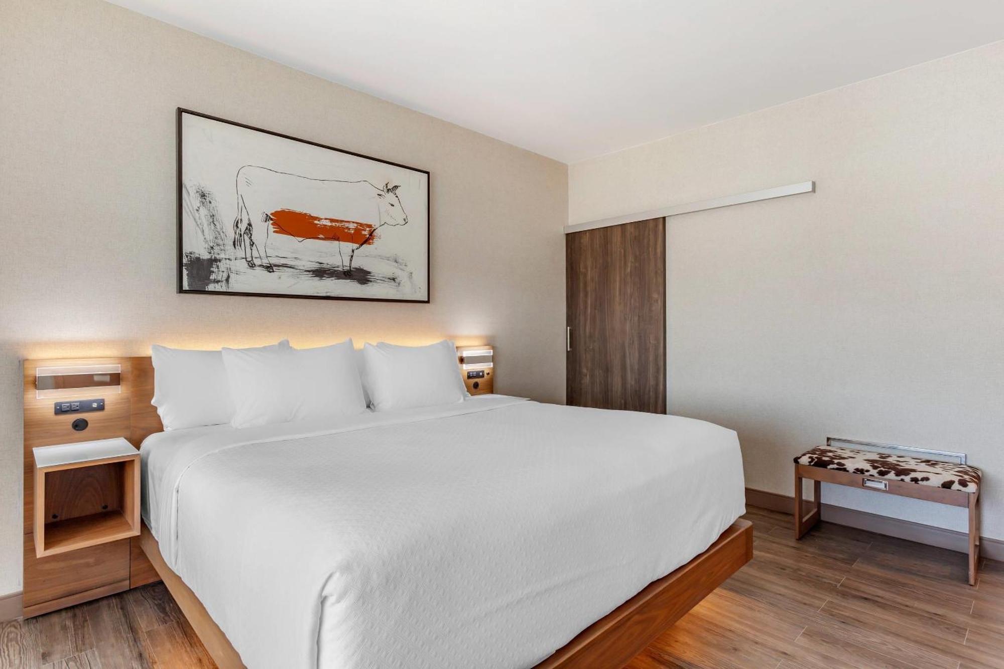 Cambria Hotel Richardson - Dallas Luaran gambar